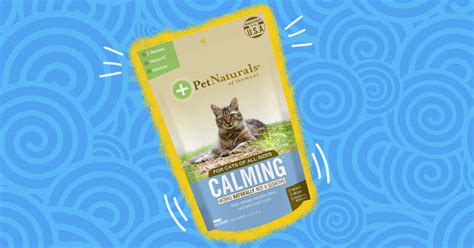 The 5 Best-Reviewed Calming Cat Treats On Amazon - DodoWell - The Dodo