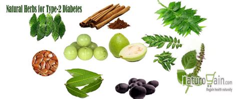 11 Natural Remedies for Diabetes to Maintain Healthy Sugar Levels [Tips]