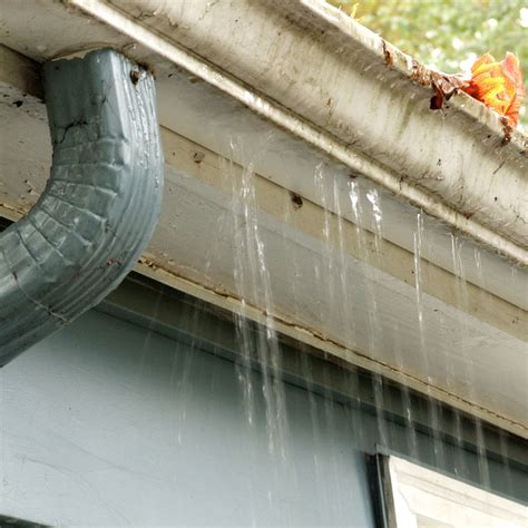 The Top 7 Gutter Problems and How to Fix Them - Universal Windows Direct