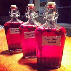 31 Slivovitz ideas | plum recipes, homemade liquor, croatian recipes