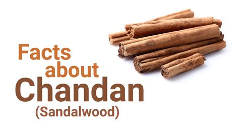 Facts about Chandan (Sandalwood) . | Chandan, Sandalwood, Fun facts