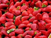 Strawberry Shake · Free Stock Photo