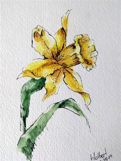 Gallery Watercolor And Ink Flowers, - Watercolor And Ink Flowers ...