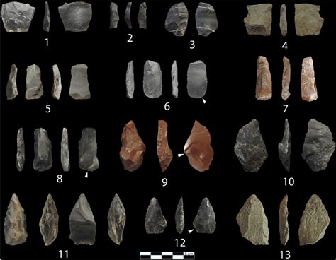 Middle Palaeolithic artifacts from the excavations of the cave Mavri ...