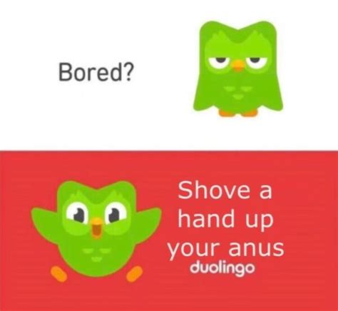 25 Funny Duolingo Memes that are Slightly Threatening - AMJ