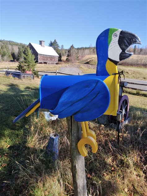 Parrot mailbox, blue and gold macaw mailbox, bird mailbox - Crossknots Woodworking - Custom ...