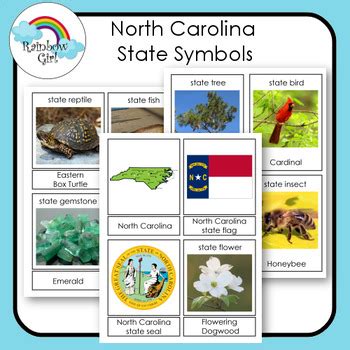 North Carolina State Symbols Cards by Rainbow Girl | TpT