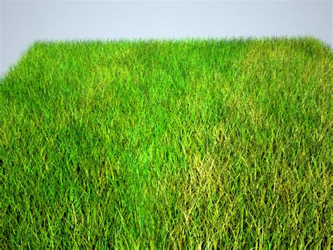 free grass 3d model