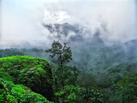 Amboli Waterfall Maharashtra Goa | Waterfall, Goa, Natural landmarks