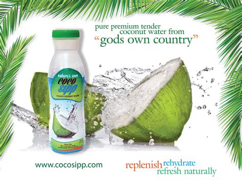 Pure Premium Tender Coconut Water | Coconut water, Coconut, Coconut water hair