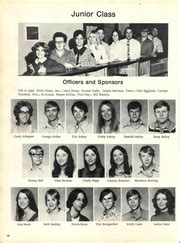 Poca High School - Pocatalico Yearbook (Poca, WV), Class of 1973, Page ...