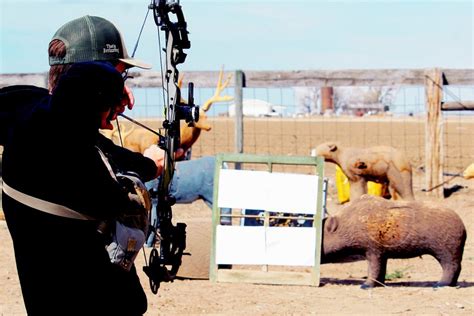 Bowhunting Gear: How to Diagnose and Fix Your Setup in the Offseason