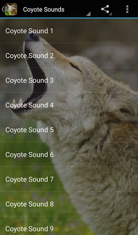 Coyote Sounds - Android Apps on Google Play