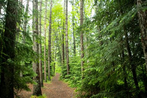 Hiking Trails | Lutsen Mountains