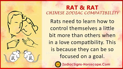 Rat and Rat Love Compatibility, Relationship, Traits in Chinese Astrology