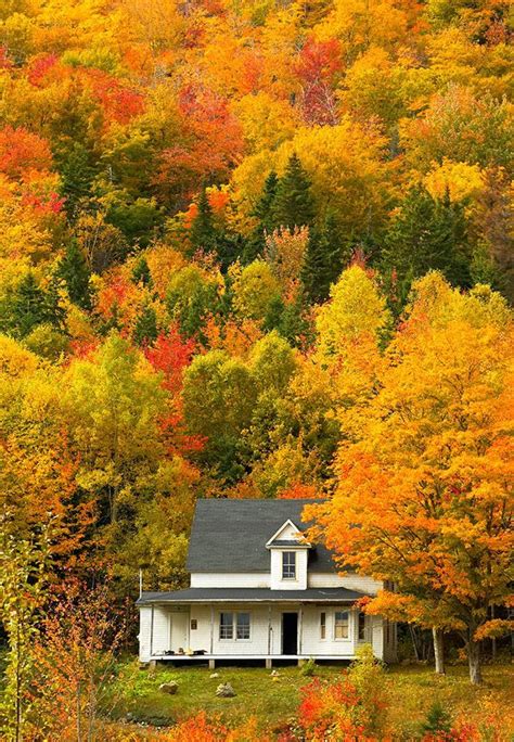 The amazing fall colors of Cape Breton Island Nova Scotia | Nova scotia ...