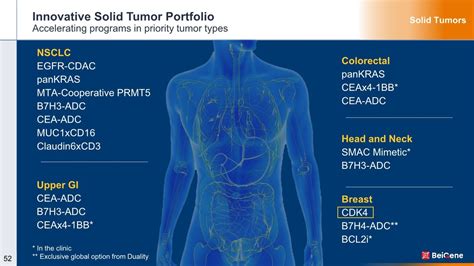 BeiGene Solid Tumor Portfolio 2023 by Solid Tumor CMO