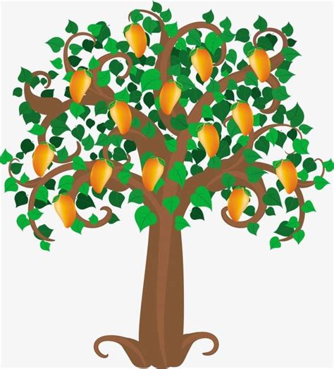 Mango Tree Vector PNG Images, Mango Tree, Mango Clipart, Tree Clipart ...