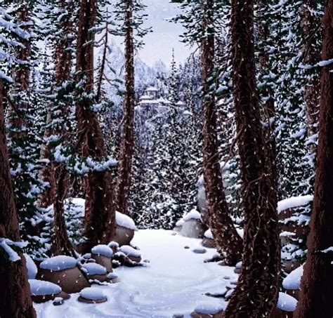 Snow In The Forest GIFs | Tenor