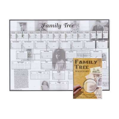 Family Tree Wallchart