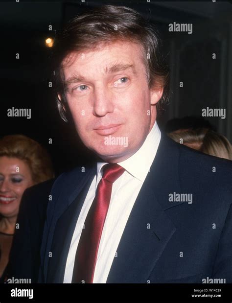 Donald Trump 1980s Photo By Michael Ferguson/PHOTOlink.net Stock Photo ...