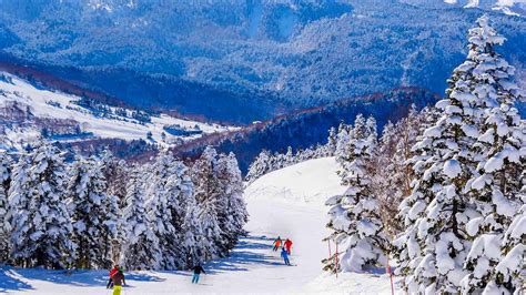 Shiga Kogen Ski Resort Guide | Nagano