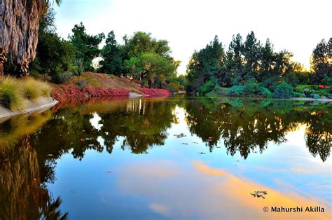 Reflections on Water at UC Davis Arboretum | Scenic views, California ...