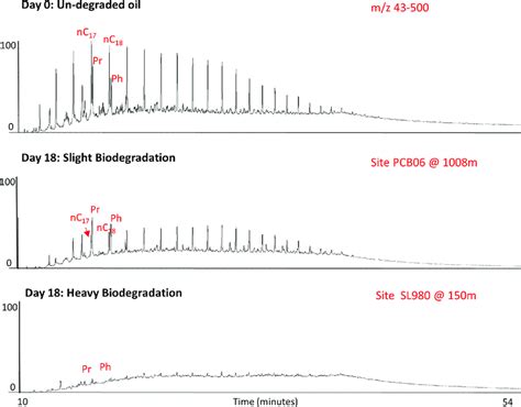 Chromatograms of crude oil biodegradation. Examples of total ion... | Download Scientific Diagram