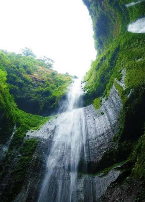 Top 4 Waterfalls in East Java – Indonesia Expat