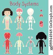 110 Royalty Free Diagram Showing Human Body Systems Illustration Clip Art - GoGraph