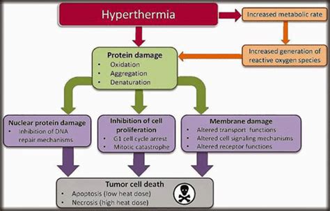 Low Body Temperature Symptoms and Causes – And How to Treat It