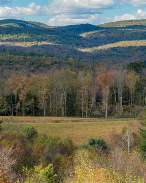 Discovering Pennsylvania's Elk Herd at the Elk Country Visitor Center ...