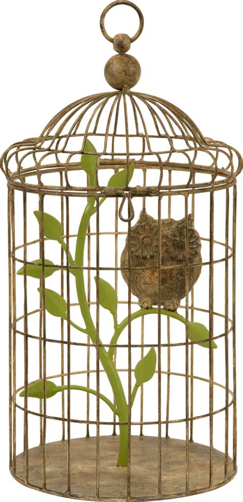 ForgetMeNot: Bird Cages