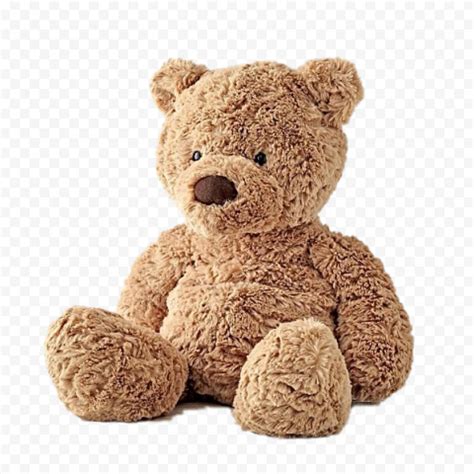 Stuffed Teddy Bear PNG Transparent Image | PxPNG