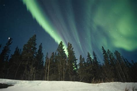 Northern Lights - Wilderness Yukon