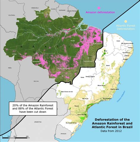 Deforestation of the Amazon rainforest and Atlantic forest in Brazil