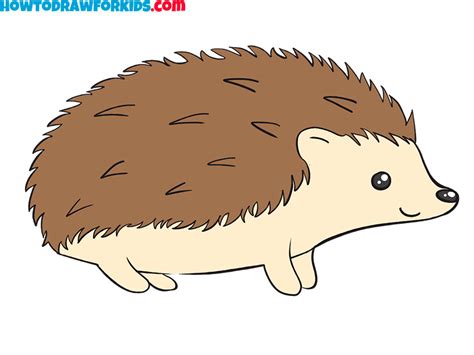 How to Draw a Hedgehog - Easy Drawing Tutorial For Kids