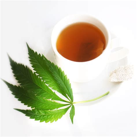 Hemp Leaf Tea (20 Bags) | Botanican