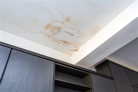 Does a Ceiling Stain Mean a Leaking Roof | Roof It Forward | ARAC ...