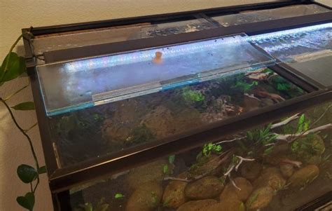 13 DIY Aquarium Lid Projects For Your Assistance - DIYnCrafty