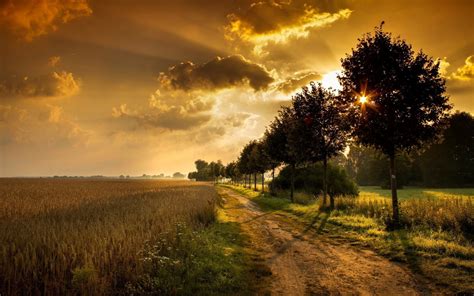 🔥 Sunset Field Background HD Download | CBEditz