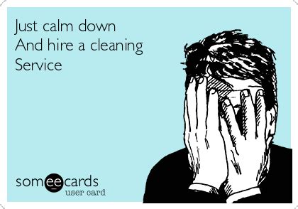 Just calm down And hire a cleaning Service | Cleaning quotes funny, House cleaning humor ...