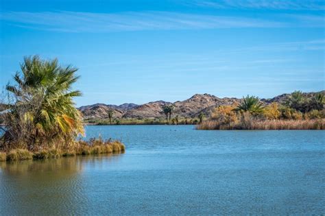 17 Pros and Cons of Living in Yuma, Arizona - Retirepedia