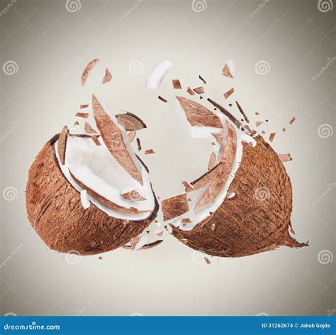 Coconut stock photo. Image of motion, coconut, bubbles - 31262674