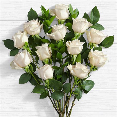 10 Long Stemmed White Roses - White Roses Delivery Pakistan - ProFlowers.pk