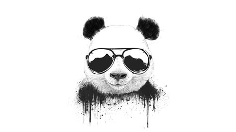 2560x1440 Stay Cool Panda 1440P Resolution ,HD 4k Wallpapers,Images,Backgrounds,Photos and Pictures