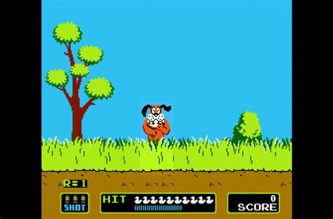 Duck Hunt | Nes Rom Games