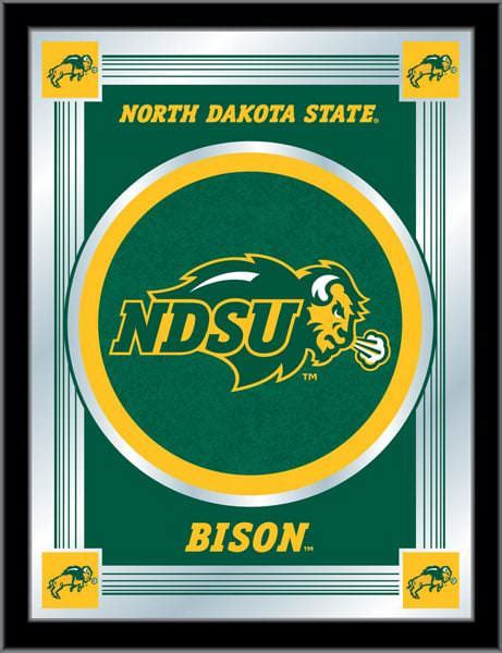 North Dakota State Logo Mirror 17x22 w/ Official College Logo - Family Leisure