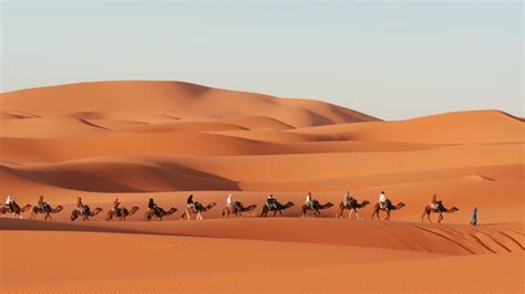 Morocco Sahara Desert Tours: Your Unique Journey Starts Here