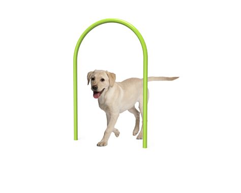 Commercial Outdoor Dog Park Equipment | Miracle Recreation